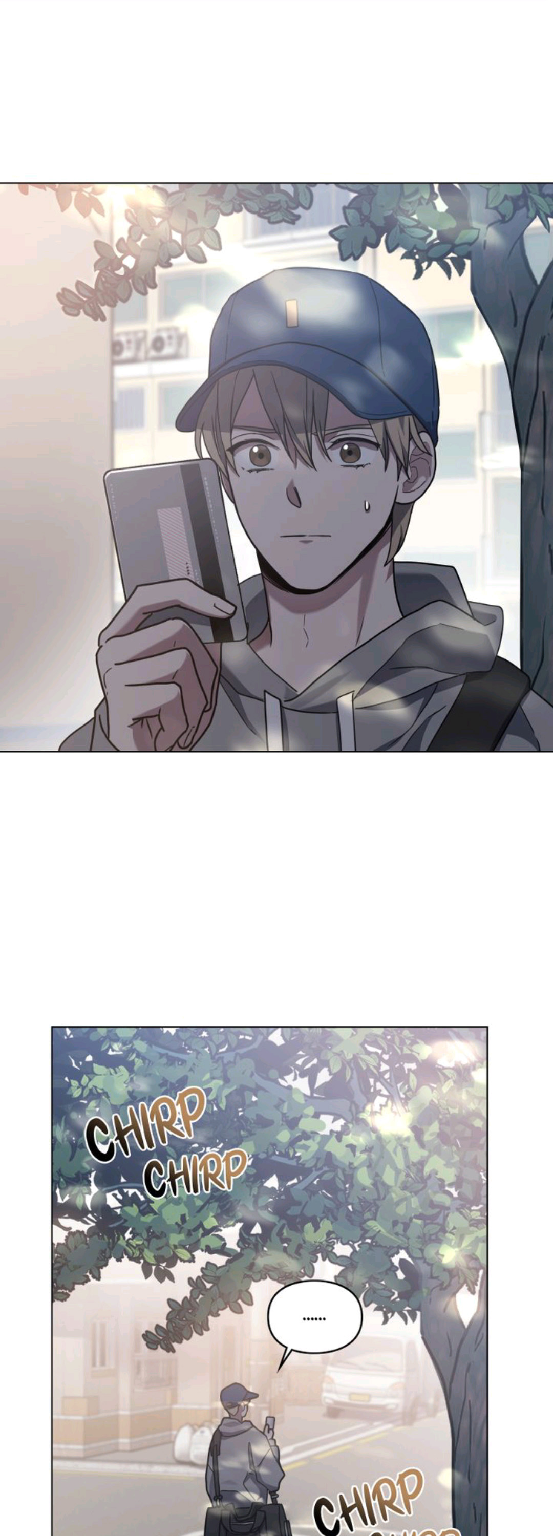 A Trace of the Wonder 6 (16)